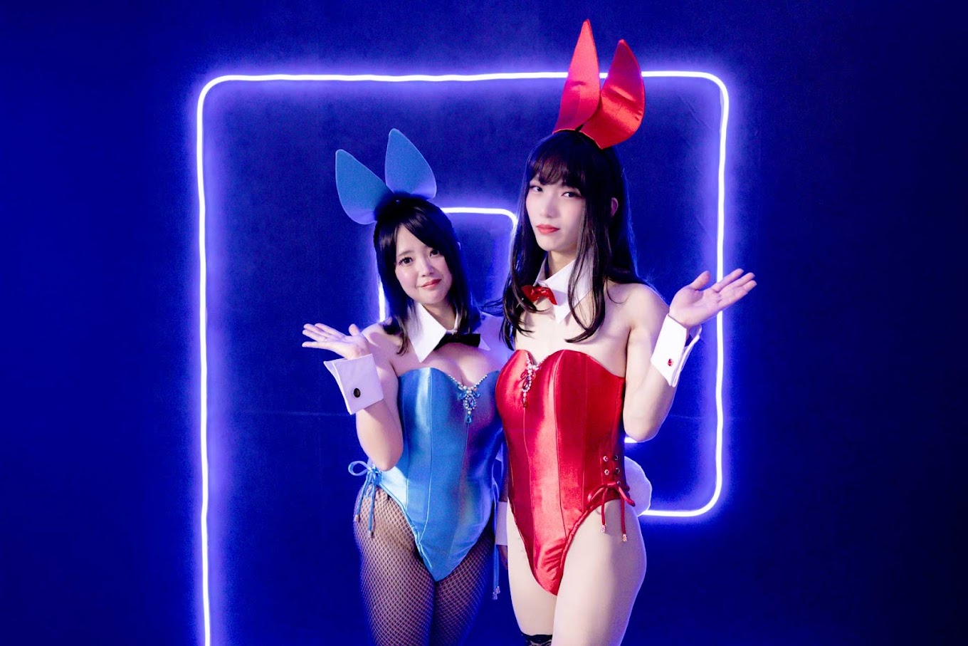 アマリリス スタジオ風景